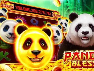 Lucky 7 Jackpot Winner Dashboard